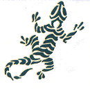 gecko.gif (6853 bytes)